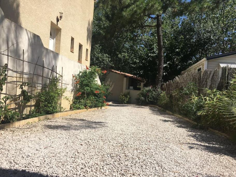 Marseillan Plage Studio Independant ภายนอก รูปภาพ